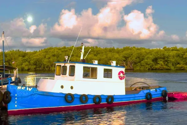 Rebocadores: O Poder por Trás das Manobras Marítimas